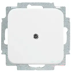 Busch-Jaeger Blindabdeckung mit Tragplatte Reflex SI (2538-214)