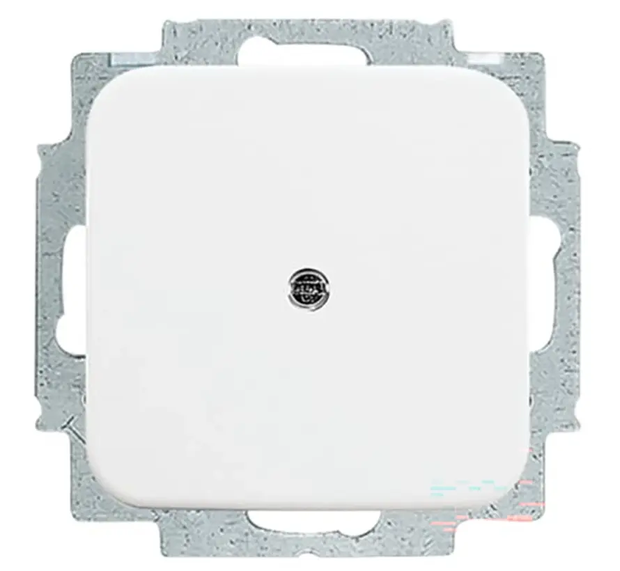 Blindabdeckung mit Tragplatte Reflex SI (2538-214)