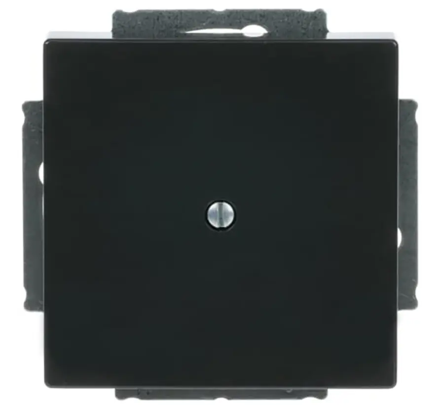 Zentralplatte mit Tragplatte Future Linear anthrazit glänzend (1742-81)