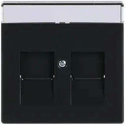 Busch-Jaeger Zentralplatte Modular Jack 2-fach Future Linear anthrazit glänzend (1800-81)