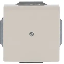 Busch-Jaeger Zentralplatte Leitungsauslass mit Tragplatte creme (1749-82)