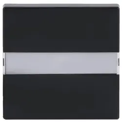 Busch-Jaeger Wippe Beschriftungsfeld mit Kontrollfenster Future Linear anthrazit glänzend (1764 NLI-81)