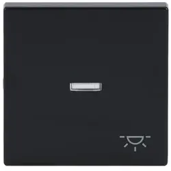 Busch-Jaeger Wippe Kontrollfenster symbol Licht Future Linear anthrazit glänzend (1789 LI-81)