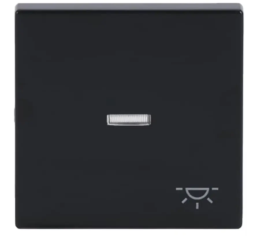 Wippe Kontrollfenster symbol Licht Future Linear anthrazit glänzend (1789 LI-81)