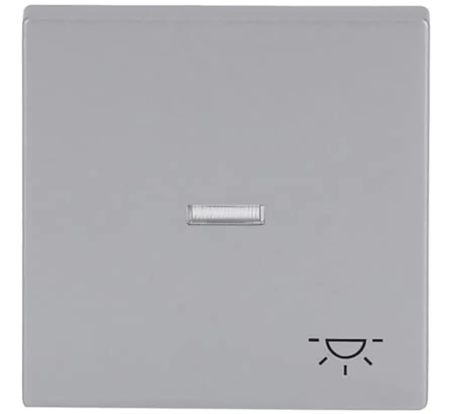 Wippe Kontrollfenster symbol symbol Licht Future Linear alusilber (1789 LI-83)