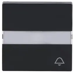 Busch-Jaeger Wippe Kontrollfenster symbol Tür Future Linear anthrazit glänzend (1789 TR-81)