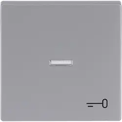 Busch-Jaeger Wippe Kontrollfenster symbol Tür Future Linear alusilber (1789 TR-83)