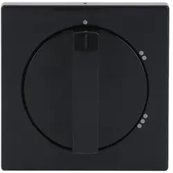 Busch-Jaeger Drehbedienaufsatz Dreistufenschalter anthrazit glänzend (2542 DR/02-81)