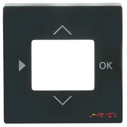 Busch-Jaeger Zentralplatte für timer und Thermostat Future Linear anthrazit glänzend (6435-81)