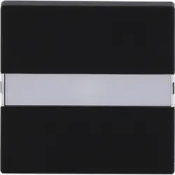 Busch-Jaeger Wippe Beschriftungsfeld mit Kontrollfenster Future Linear schwarz matt (1764 NLI-885)