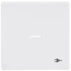 Busch-Jaeger Wippe Kontrollfenster symbol Stecker Future Linear studioweiß glänzend (1789 ST-84)