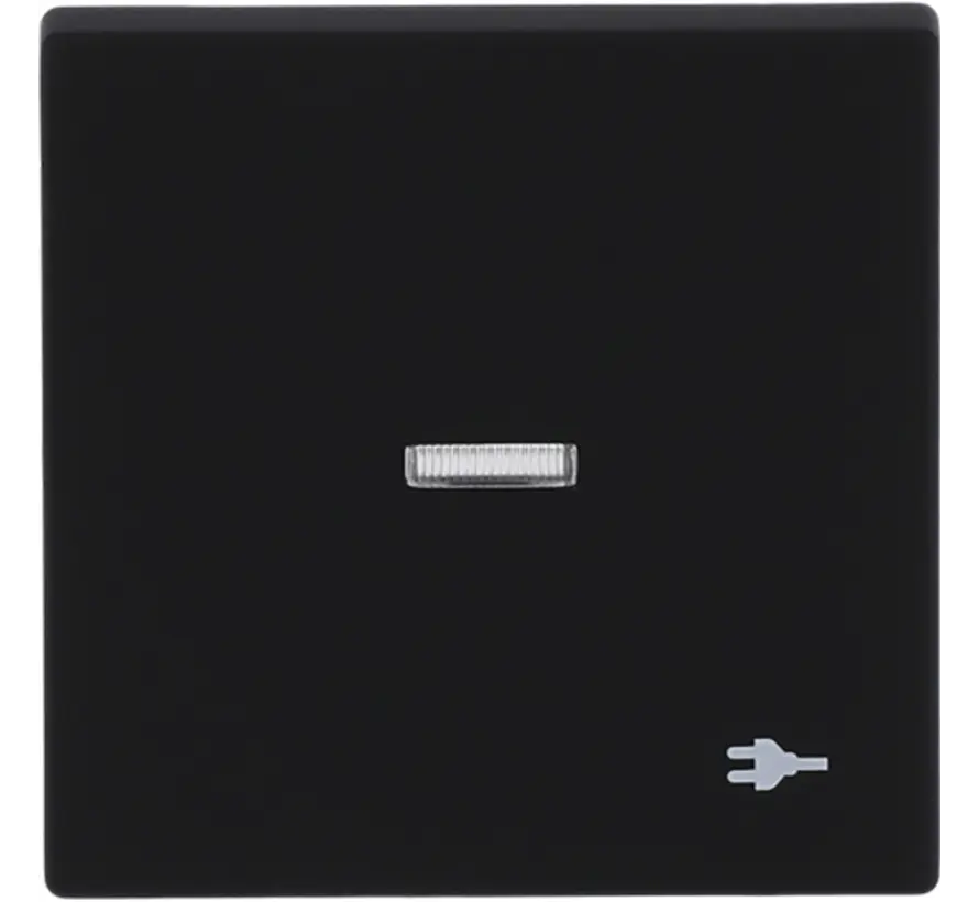 Wippe Kontrollfenster symbol Stecker Future Linear schwarz matt (1789 ST-885)