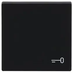 Busch-Jaeger Wippe symbol Tür Future Linear schwarz matt (2520 TR-885)