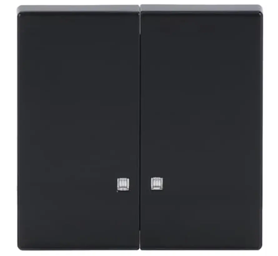 Wippe 2-fach mit Kontrollfenster Future Linear anthrazit glänzend (1785 K-81)
