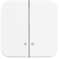 Busch-Jaeger Wippe 2-fach Kontrollfenster Reflex SI (2505 K-214)