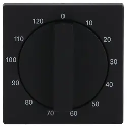 Busch-Jaeger Drehbedienaufsatz Zeitschalter 120 Minuten Future Linear schwarz matt (1771-885-103)