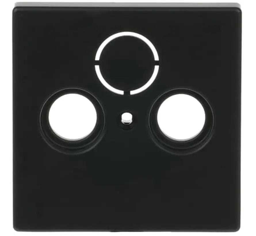 Zentralplatte Antennen / Koaxial Steckdose schwarz matt (1743-885)