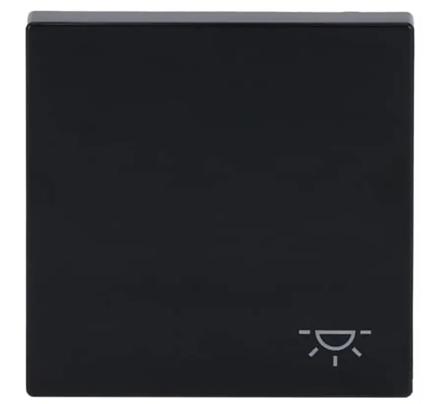 Wippe symbol Licht Future Linear anthrazit glänzend (2520 LI-81)