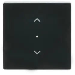 Busch-Jaeger Wippe 1-fach mit Pfeilsymbole für Bedienaufsatz flex Future Linear anthrazit glänzend (6232-10-81)