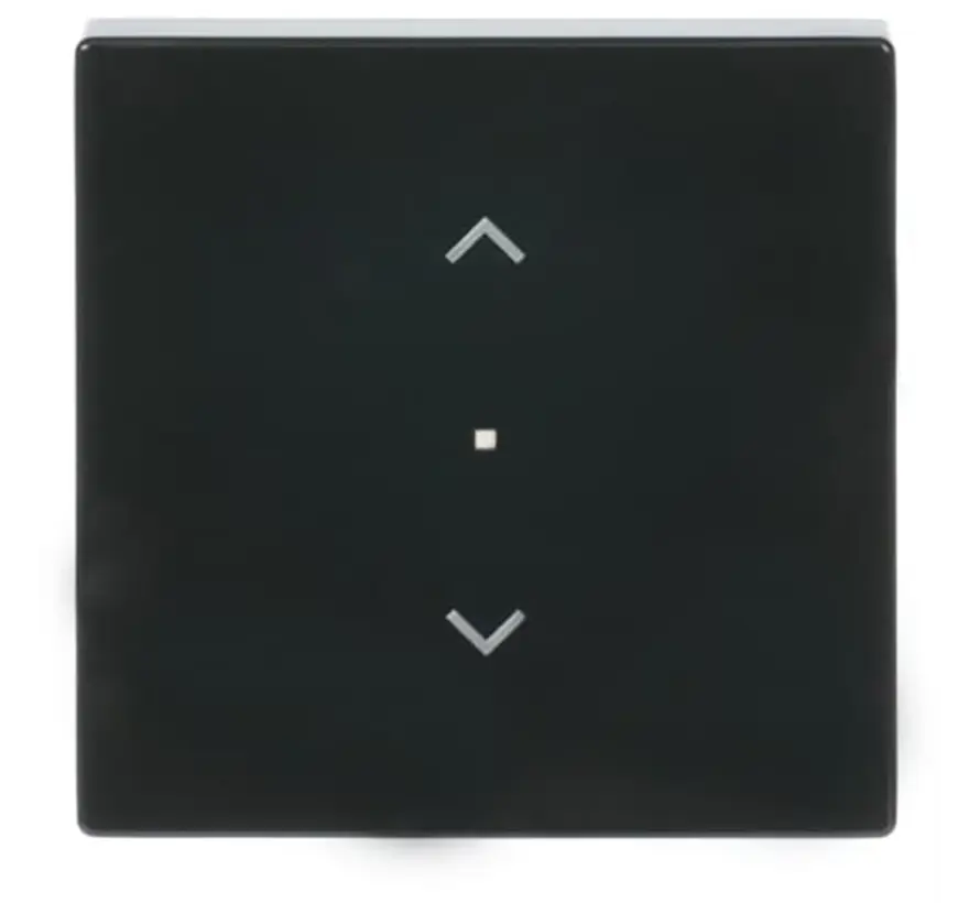 Wippe 1-fach mit Pfeilsymbole für Bedienaufsatz flex Future Linear anthrazit glänzend (6232-10-81)