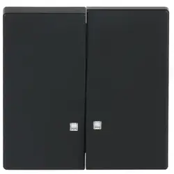 Busch-Jaeger Wippe 2-fach mit Kontrollfenster Future Linear schwarz matt (1785 K-885)