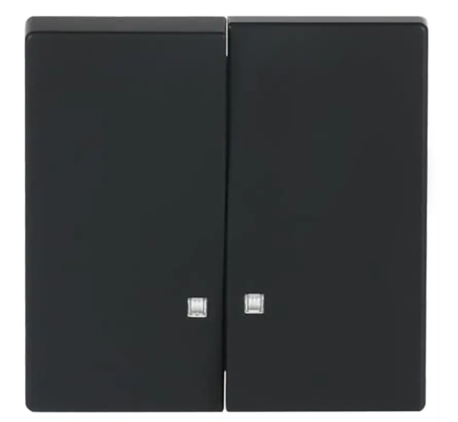 Wippe 2-fach mit Kontrollfenster Future Linear schwarz matt (1785 K-885)