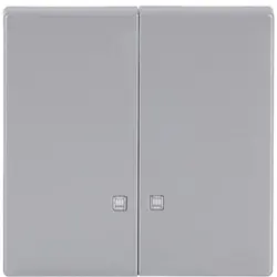 Busch-Jaeger Wippe 2-fach mit Kontrollfenster Future Linear alusilber (1785 K-83)