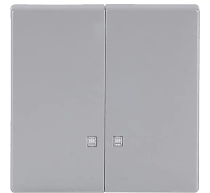 Wippe 2-fach mit Kontrollfenster Future Linear alusilber (1785 K-83)