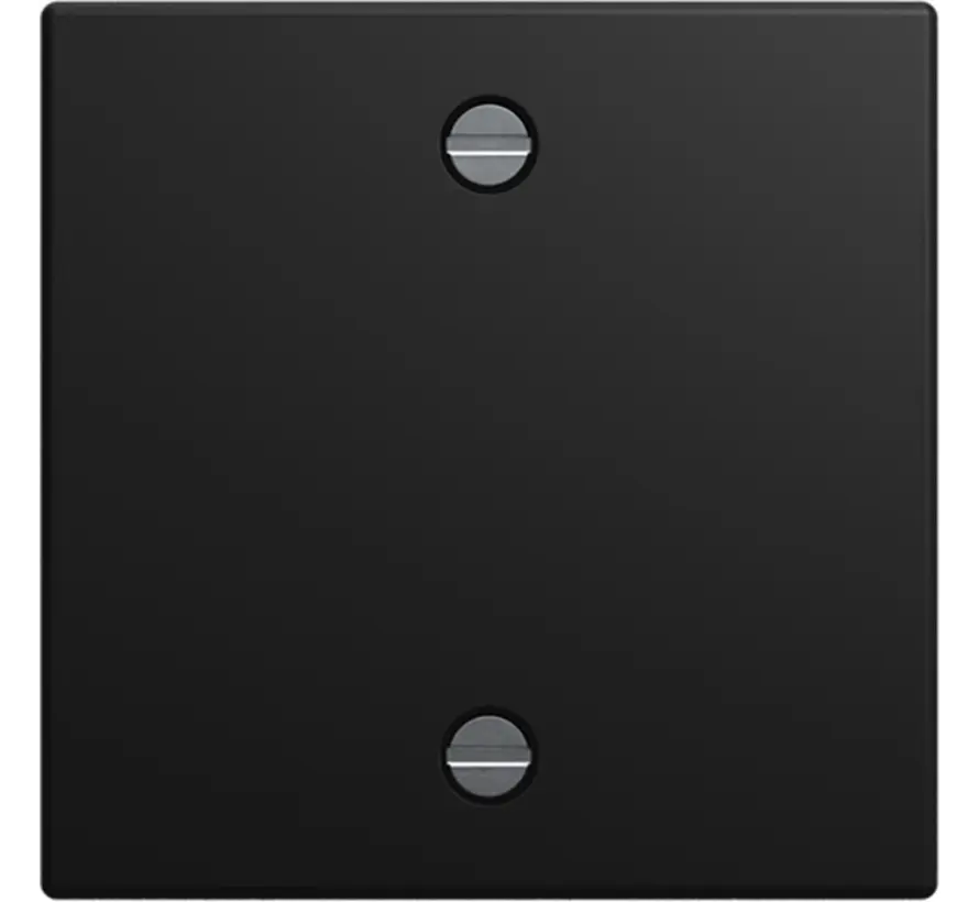 Zentralscheibe für Zugschalter Balance SI schwarz matt (1796-915)