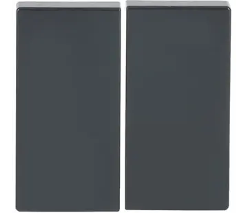 Busch-Jaeger Friends of Hue Wippe 2-fach Future Linear Anthrazit glänzend (6736 FoH-81)