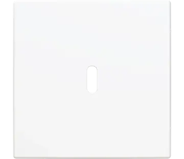 Busch-Jaeger Zentralplatte USB-C Balance SI weiß glänzend (6479-914)