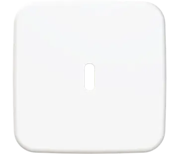 Busch-Jaeger Zentralplatte USB-C Reflex SI (6479-214)