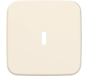 Busch-Jaeger Zentralplatte USB-C Standaard SI (6479-212)