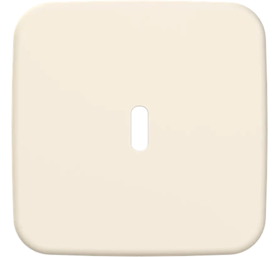 Zentralplatte USB-C Standaard SI (6479-212)