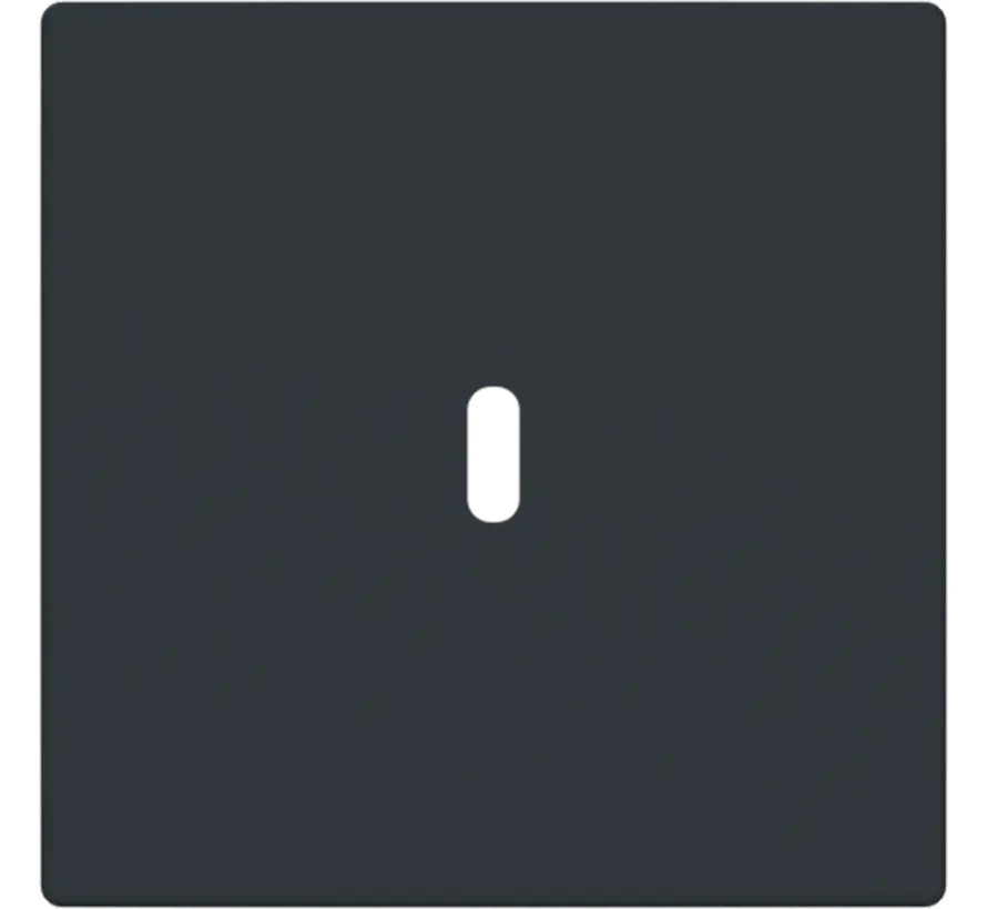 Zentralplatte USB-C Future Linear anthrazit glänzend (6479-81)