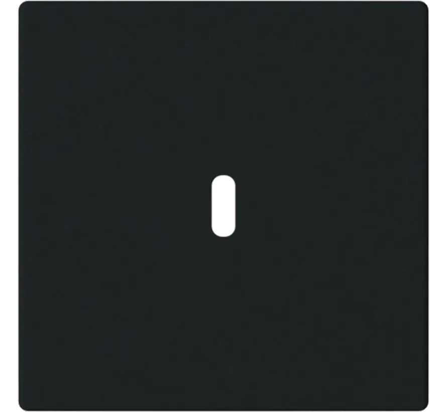 Zentralplatte USB-C Future Linear schwarz matt (6479-885)