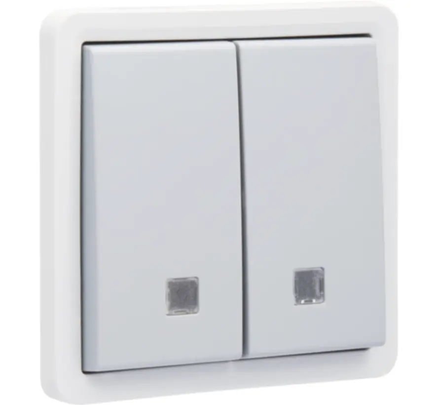 Hydro Taster 2-fach mit 2 Schließer- oder Öffnerkontakt Kontrollfenster und Steckklemmen grau (700-35105)