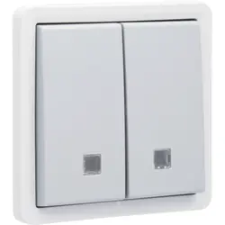 Niko Hydro Taster 2-fach mit 2 Schließ- oder Öffnerkontakte Kontrollfenster und Schraubklemmen grau (700-35100)