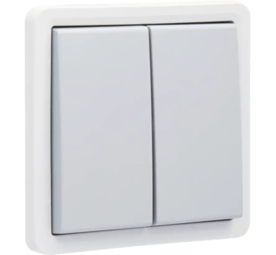 Hydro Taster 2-fach mit 2 Schließer- oder Öffnerkontakt und Steckklemmen grau (700-35005)