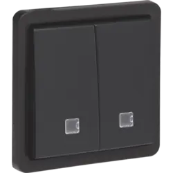 Niko Hydro Taster 2-fach mit 2 Schließ- oder Öffnerkontakte Kontrollfenster und Schraubklemmen schwarz (761-35100)