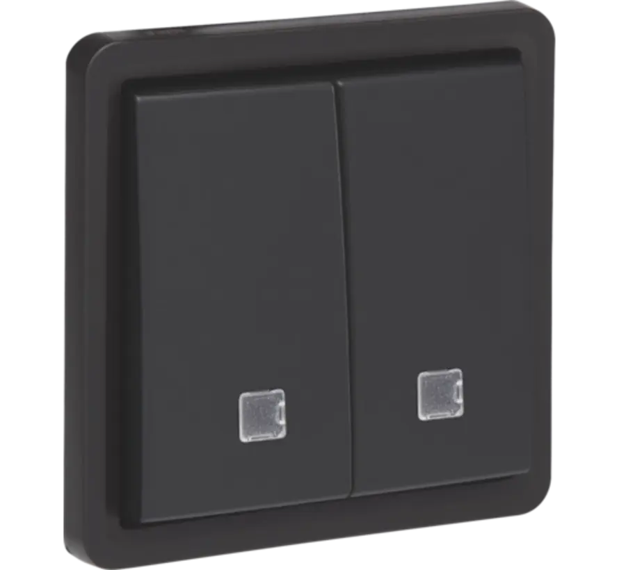 Hydro Taster 2-fach mit 2 Schließ- oder Öffnerkontakte Kontrollfenster und Schraubklemmen schwarz (761-35100)