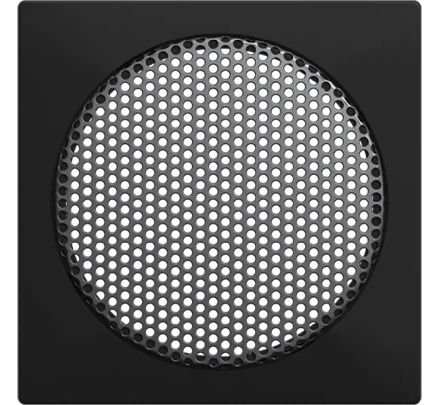 Zentralplatte Radiolautsprecher Balance SI schwarz matt (8253-915)