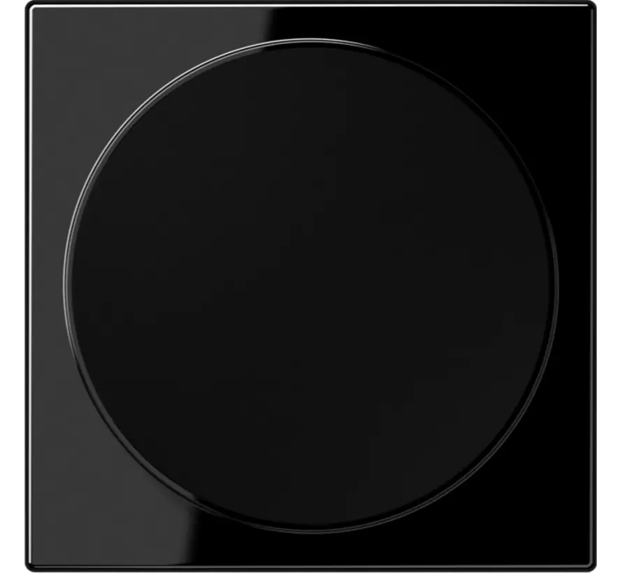 Zentralplatte für kabelloses Laden LS990 schwarz glänzend (LS WC MAG SW)