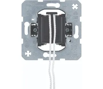 Hager Berker Zugschalter Wechsel 10A mit Krallenbefestigung (WDE3966)