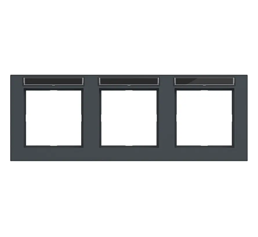Abdeckrahmen 3-fach horizontal mit Beschriftungsfeld A1 anthrazit matt (WAD6302AT)
