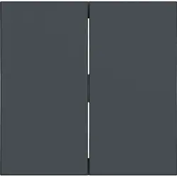 Hager Berker Wippe 2-fach A1/A8/C1/C8 anthrazit matt (WAW2000AT)