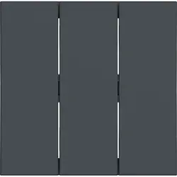 Hager Berker Wippe 3-fach A1/A8/C1/C8 anthrazit matt (WAW3000AT)