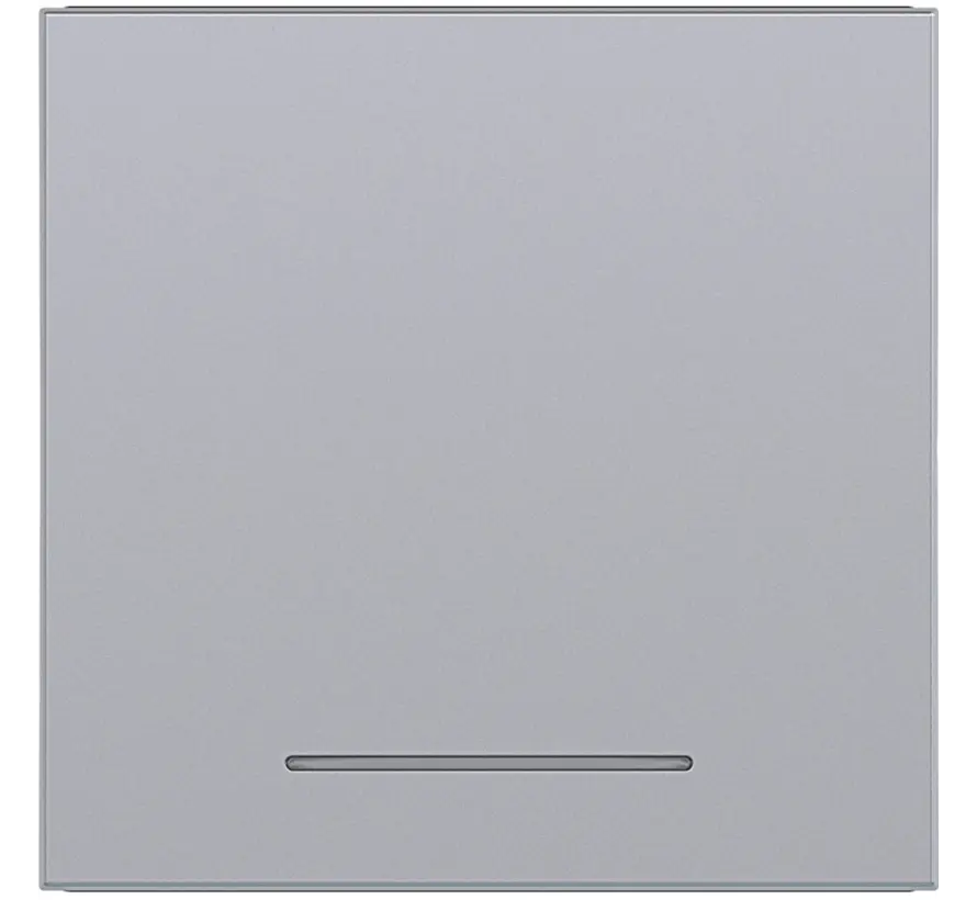 Wippe Kontrollfenster A1/A8/C1/C8 titan (WAW1031TA)