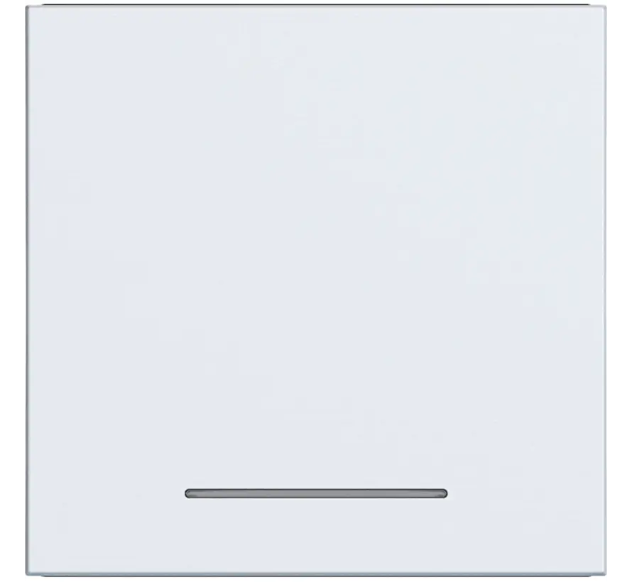 Wippe Kontrollfenster A1/A8/C1/C8 lichtweiß matt (WAW1031WM)