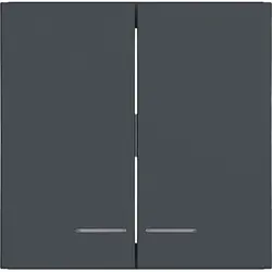 Hager Berker Wippe 2-fach Kontrollfenster A1/A8/C1/C8 anthrazit matt (WAW2031AT)